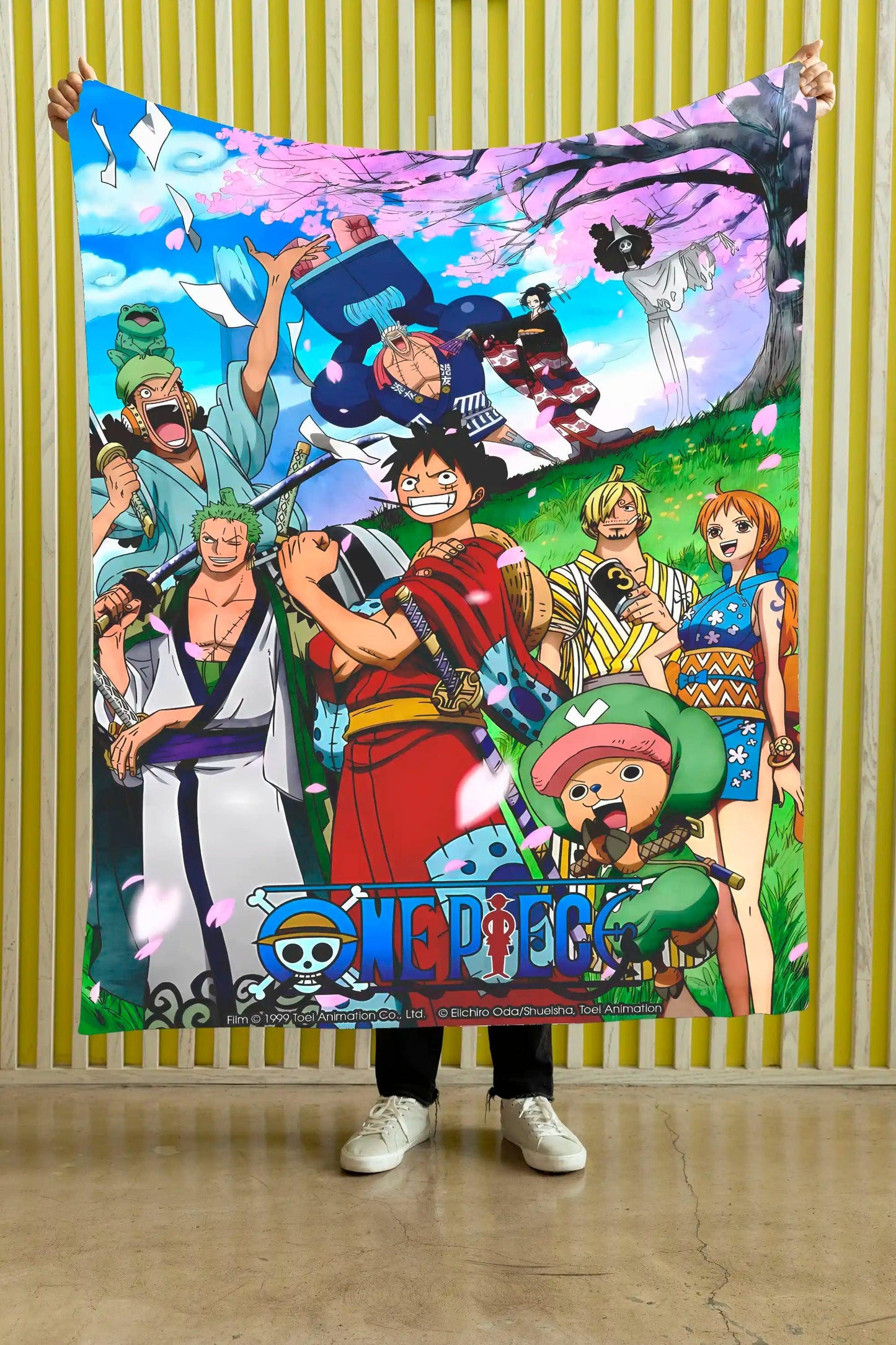 Cobija One Piece – NIMOR