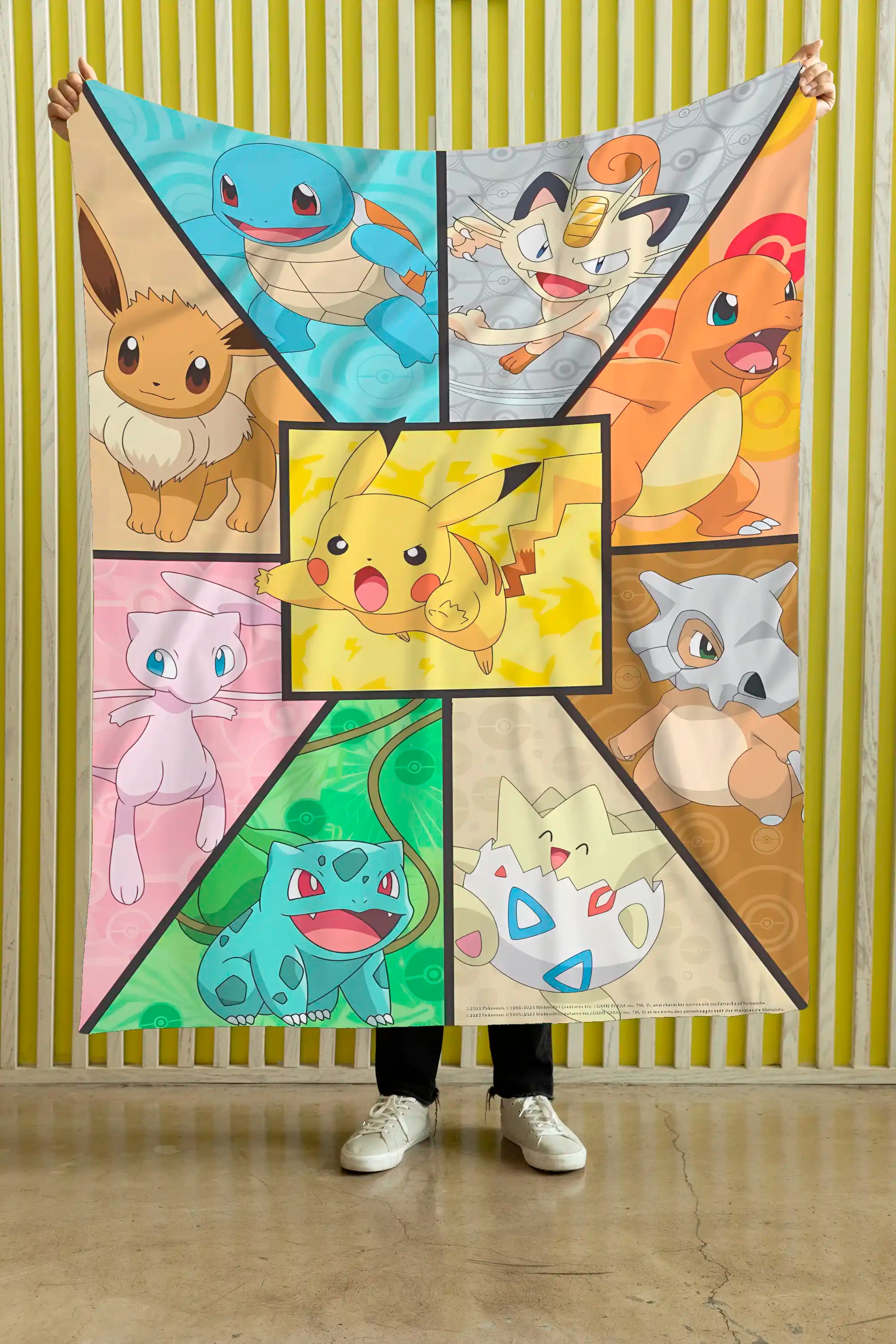 Cobija Pokémon NIMOR